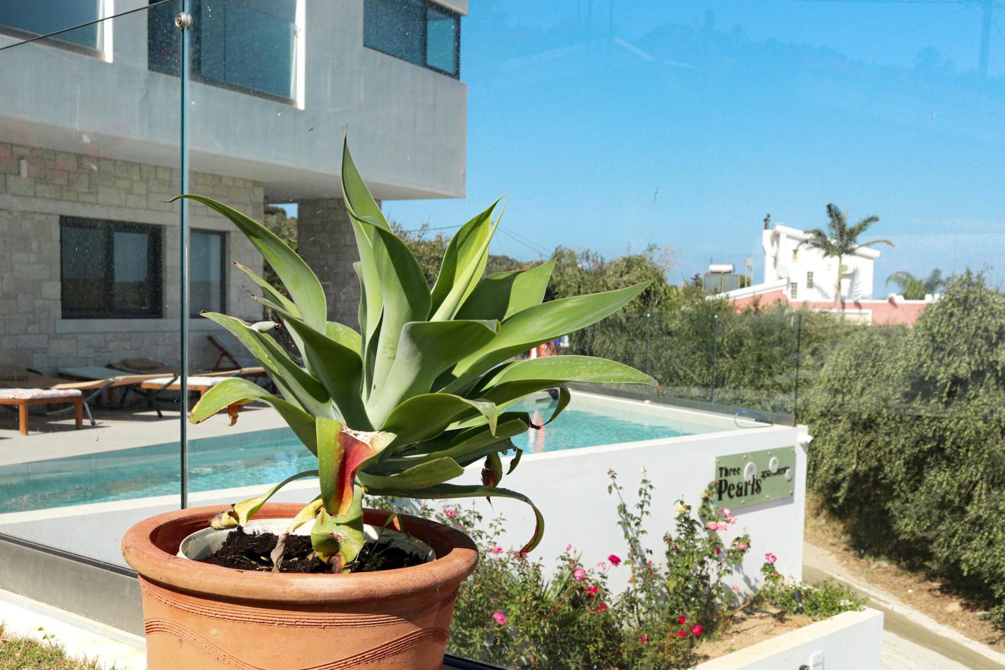 DemplaCream Cozy Getaway - 3 Pearls Pool Retreat公寓 外观 照片